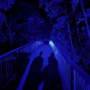 男女全裸搞基操好莱坞
