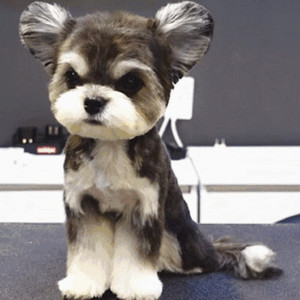 男女全裸搞基操好莱坞
